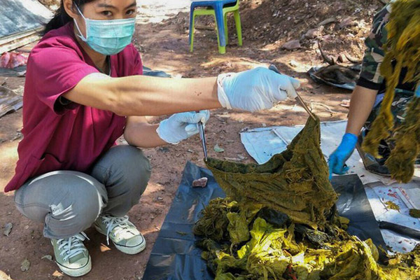 THÔNG TIN DU LỊCH 30/11