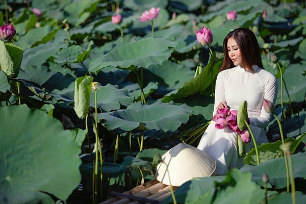 Hoa hậu Biển Nguyễn Thị Loan duyên dáng khi diện áo dài chụp ảnh ở hồ sen