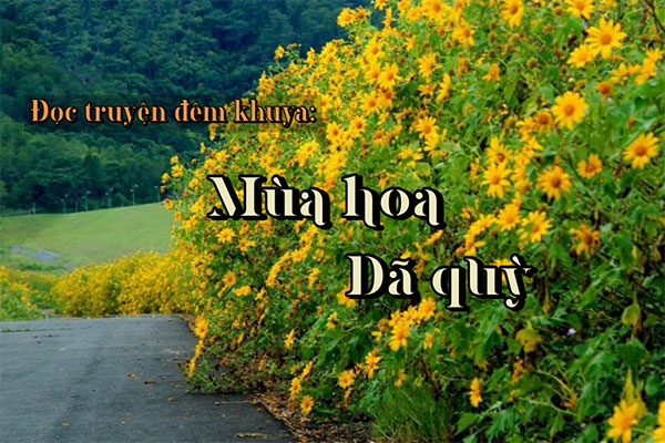 Mùa hoa dã quỳ