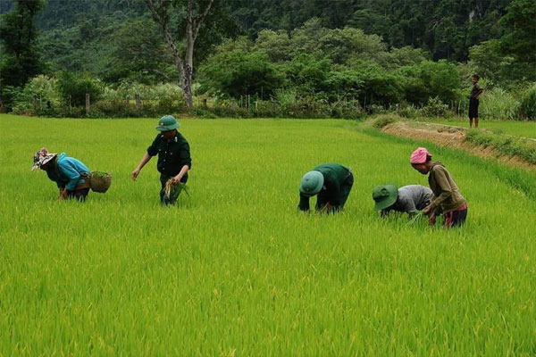 THÔNG TIN DU LỊCH 14/11