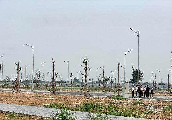 BẢN TIN BẤT ĐỘNG SẢN 8/10