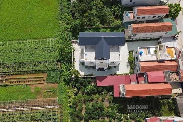 BẢN TIN BẤT ĐỘNG SẢN 9/8