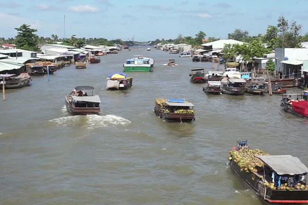 Thăm chợ nổi chỉ bán mỗi dừa độc nhất Việt Nam, sạch bong, thơm phức và khô