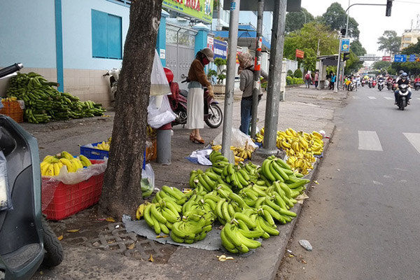 THÔNG TIN TIÊU DÙNG 10/4