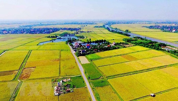 BẢN TIN BẤT ĐỘNG SẢN 21/3