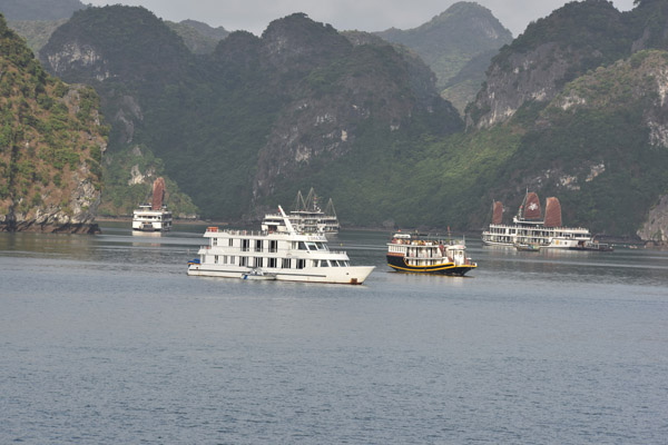 THÔNG TIN DU LỊCH 10/12