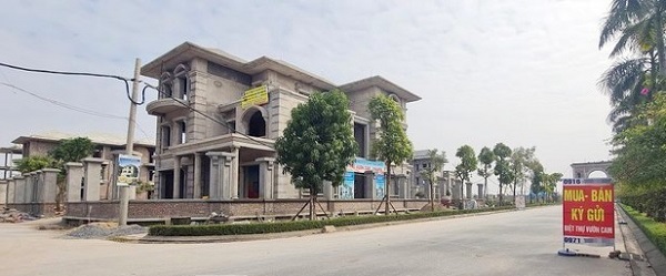 BẢN TIN BẤT ĐỘNG SẢN 11/8