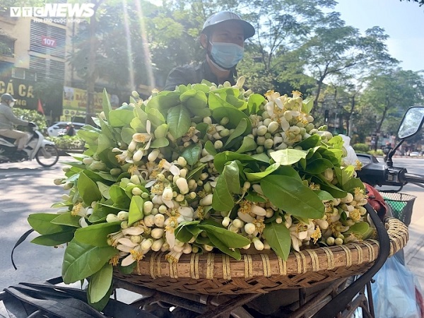 THỊ TRƯỜNG 24H 19/2
