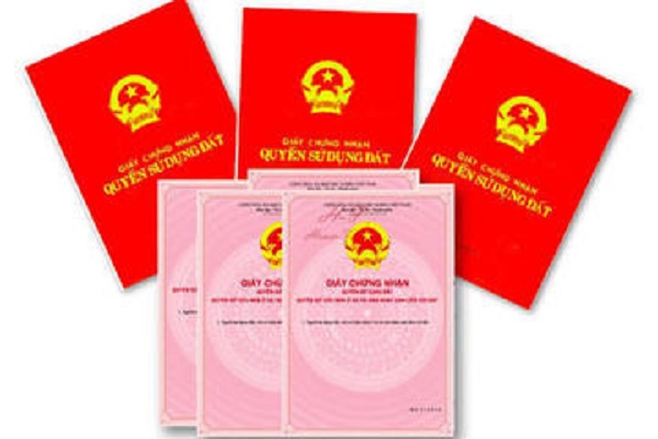 Tin pháp luật đời sống 9/8