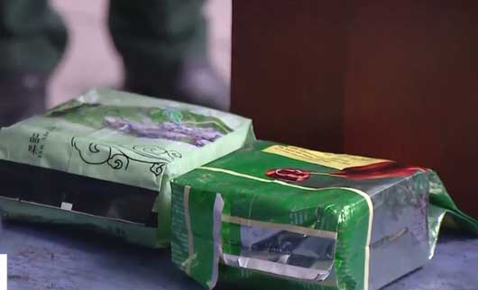 Tin pháp luật đời sống 13/6