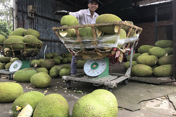 THỊ TRƯỜNG 24H 12/6