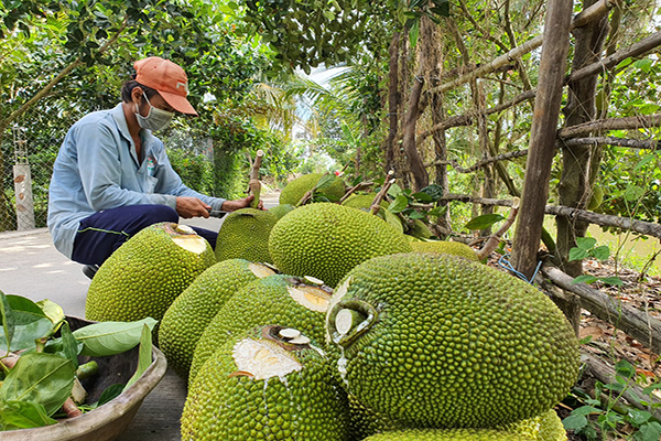 THÔNG TIN TIÊU DÙNG 14/5