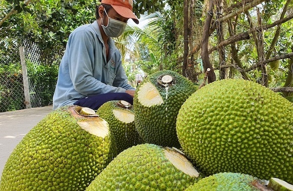 THÔNG TIN TIÊU DÙNG 4/9