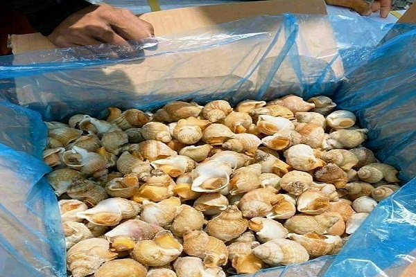THỊ TRƯỜNG 24H 16/3