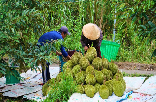 THỊ TRƯỜNG 24H 28/5